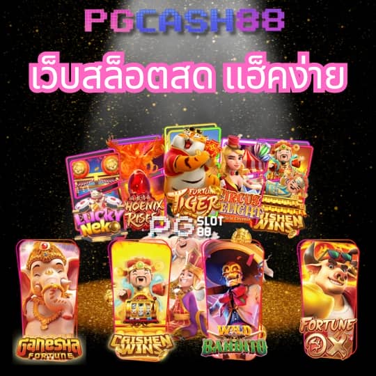 punpro66